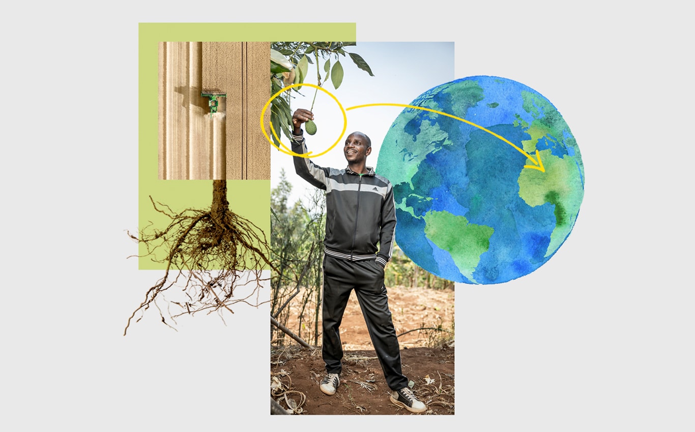 Вид з повітря на комбайн John Deere у полі, людина зриває авокадо, що висить на дереві, і стрілка, що вказує на Африку, на зображенні Землі.