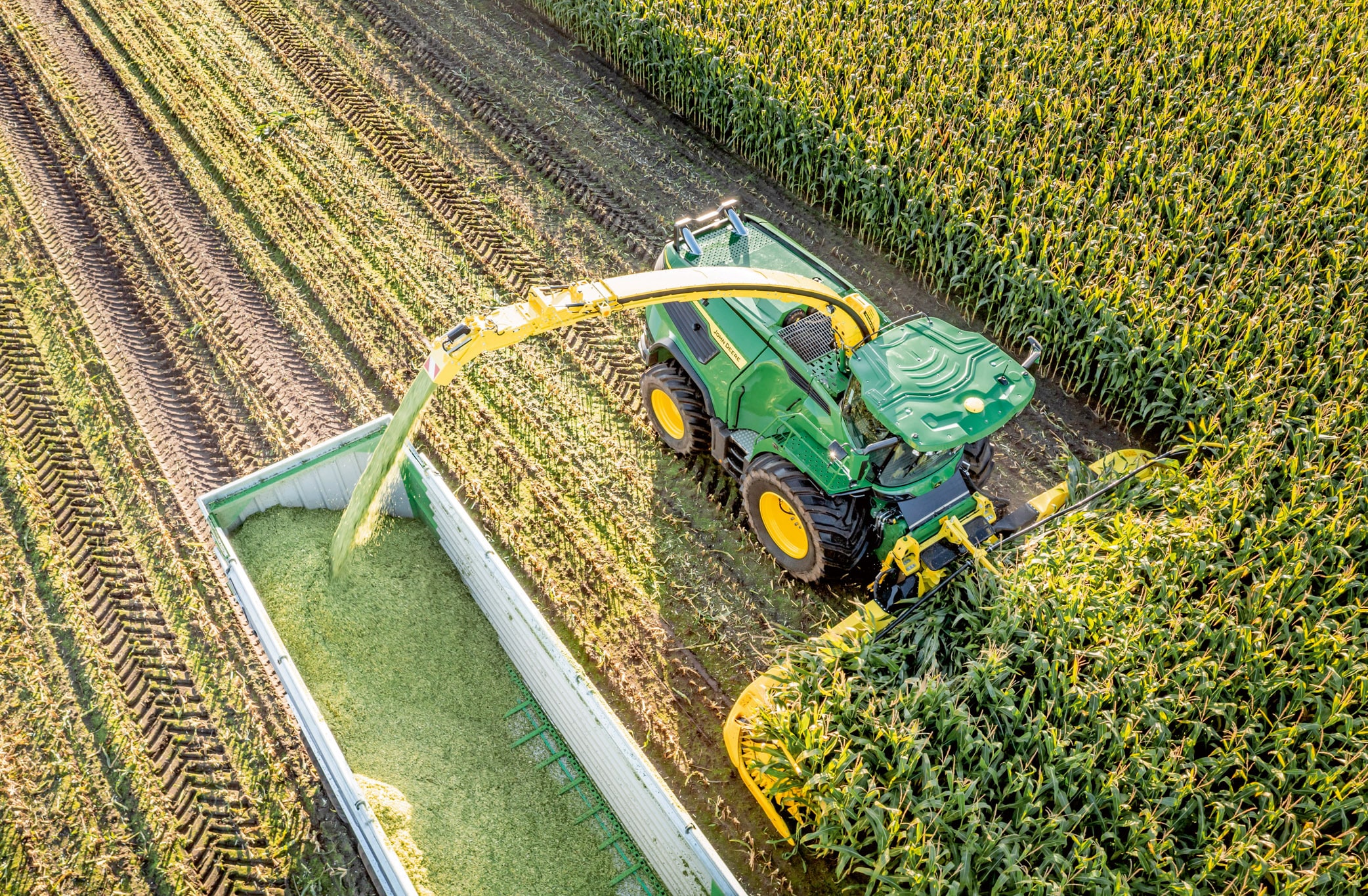 Вид із висоти пташиного польоту на зелений кормозбиральний комбайн John Deere, який збирає кукурудзу та завантажує подрібнену масу в причіп на великому кукурудзяному полі.
